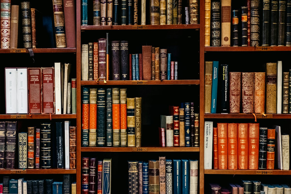 Rak buku perpustakaan dengan koleksi tebal berwarna hangat